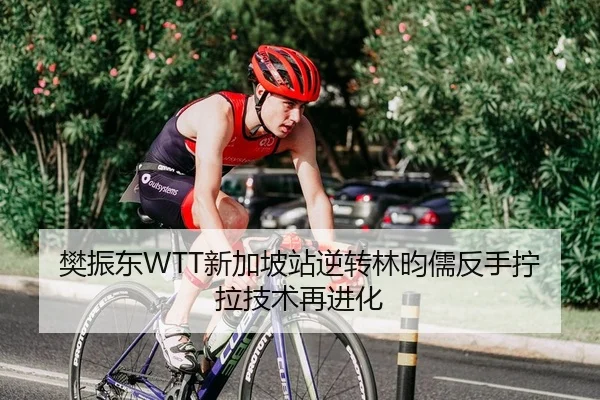 樊振东WTT新加坡站逆转林昀儒反手拧拉技术再进化